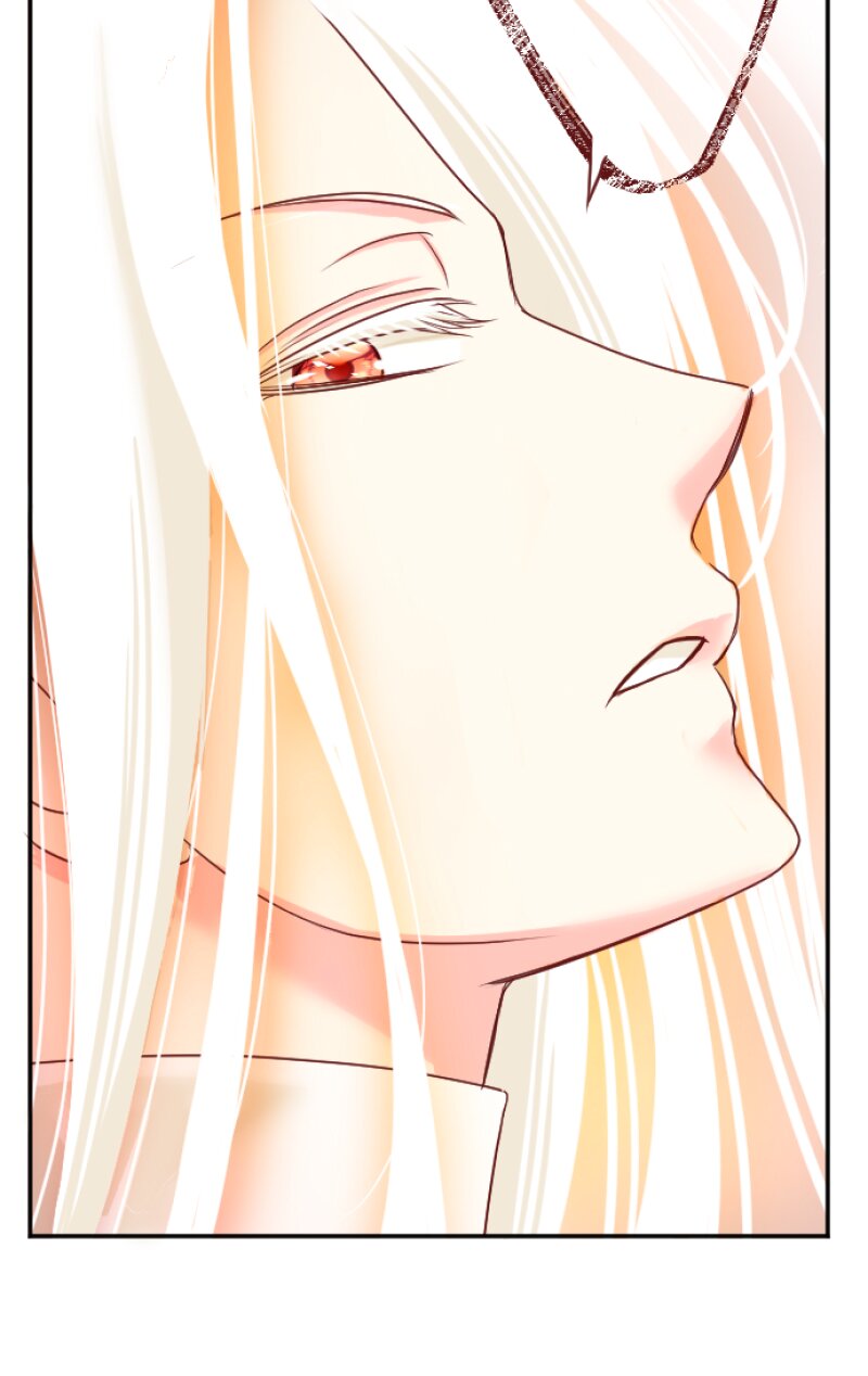 55536542 800 1268 88761